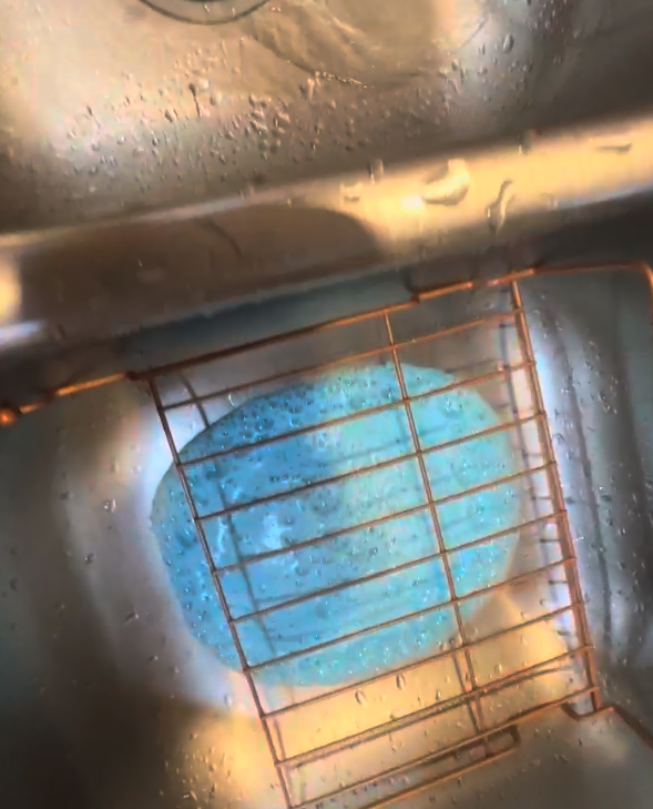 Glisten Garbage Disposer Cleaner Working its magic with the blue foam